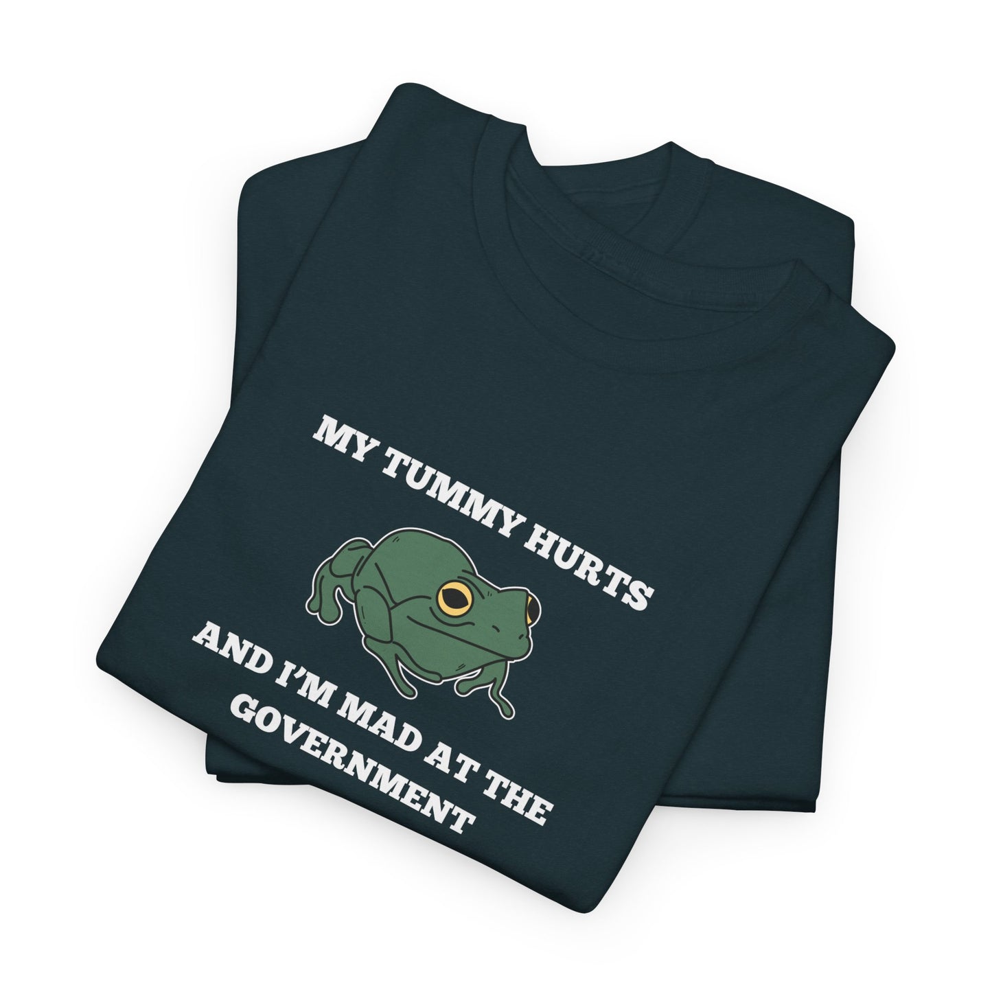 'My Tummy Hurts and I'm Mad at the Government' - Funny Unisex Heavy Cotton Tee -
