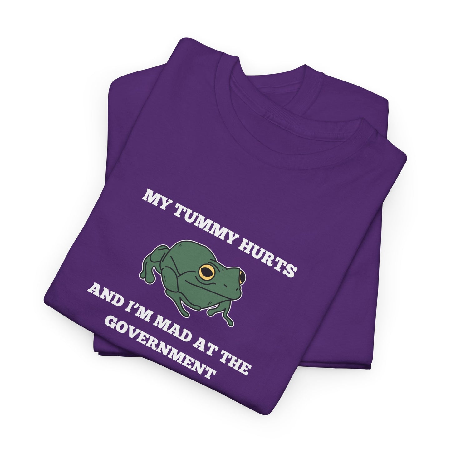 'My Tummy Hurts and I'm Mad at the Government' - Funny Unisex Heavy Cotton Tee -