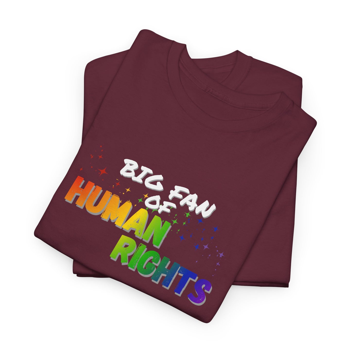 Big Fan of Human Rights Shirt