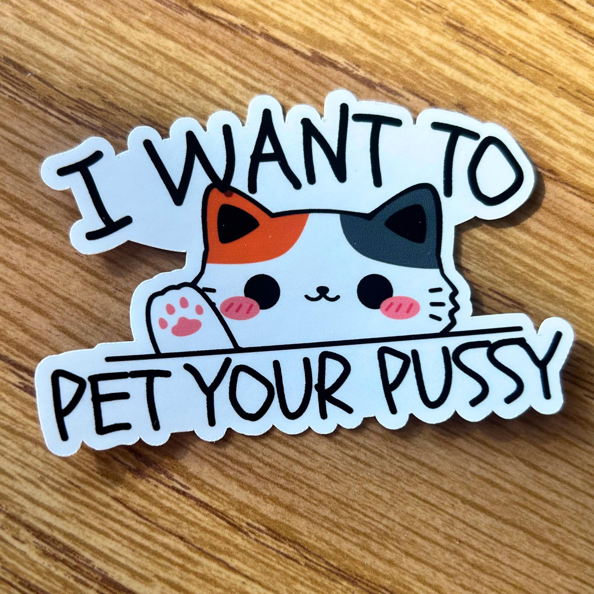 I Want to Pet Your Pussy Sticker